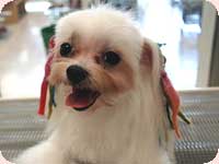 オリジナルエクステ♪