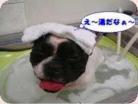 クーちゃん&クイム君