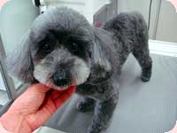 お試しキャンペーン♪