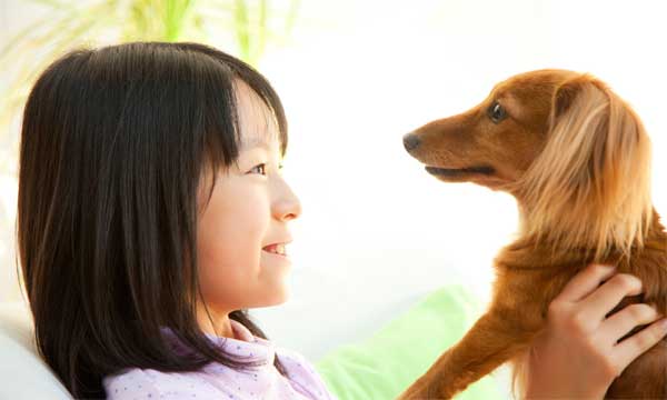 ペット保険の選び方