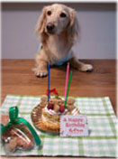 愛犬とペットのバースデーケーキ