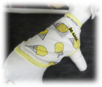 iDog スウィートアイスタンク