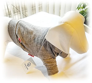 ヴィンテージトレーナー